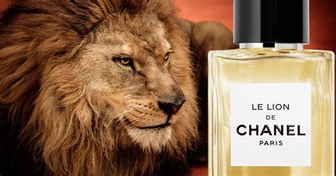 chanel bel respiro fragrance review|le lion de Chanel fragrantica.